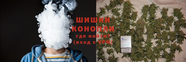 соль ск Елабуга
