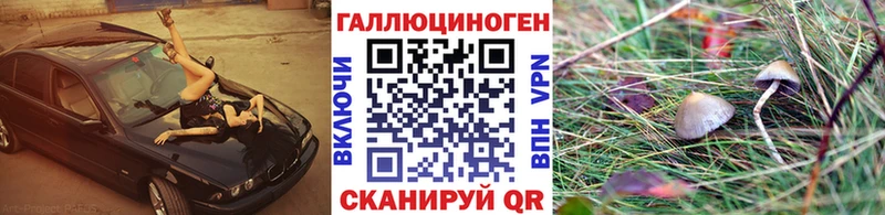 как найти   Чудово  Псилоцибиновые грибы прущие грибы 